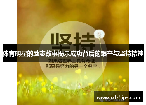 体育明星的励志故事揭示成功背后的艰辛与坚持精神